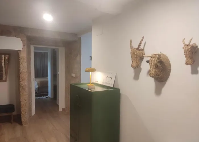 Cosmevixia * Ourense